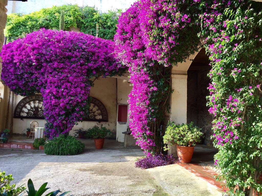 Apartaments Can Gibert Castello  D'Empuries Exterior photo
